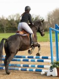 DSC04784 DSC04784
