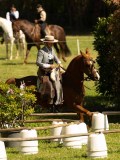 DSC02637