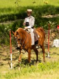 DSC02654