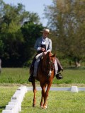 IMG_0744