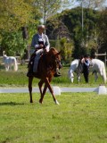 IMG_0749