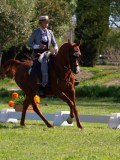 IMG_0769