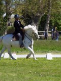 IMG_0198