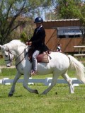 IMG_0210