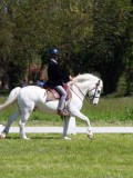 IMG_0219