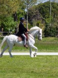 IMG_0221