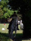 IMG_0335