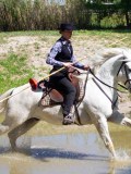 IMG_0337