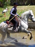 IMG_0340