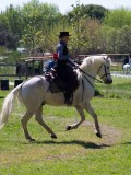 IMG_0341