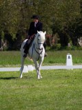 IMG_1101