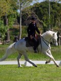 IMG_1106