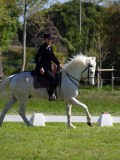 IMG_1109