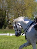 IMG_1121