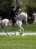 IMG_1123
