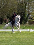 IMG_1127