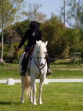 IMG_1137