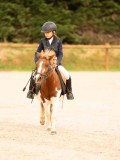 DSC07478 DSC07478