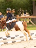 DSC07479 DSC07479