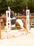 DSC07487 DSC07487
