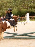 DSC07492 DSC07492