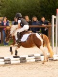 DSC07358 DSC07358