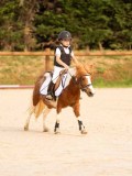 DSC07359 DSC07359