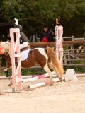 DSC07368 DSC07368