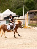 DSC07374 DSC07374