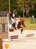 DSC07375 DSC07375