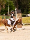 DSC07376 DSC07376