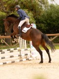 DSC08529 DSC08529
