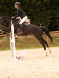 DSC01103 DSC01103