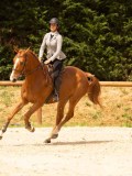 DSC02405