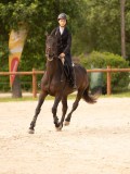 DSC01776 DSC01776