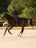 DSC01640 DSC01640