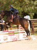 DSC01643 DSC01643