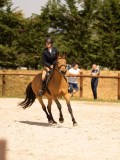 DSC04588 DSC04588