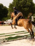 DSC04590 DSC04590