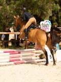 DSC04594 DSC04594