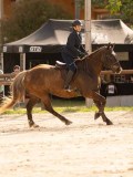 DSC03757 DSC03757