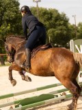 DSC03764 DSC03764