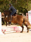 DSC03768 DSC03768