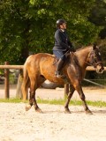 DSC03774 DSC03774