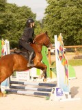 DSC03436 DSC03436