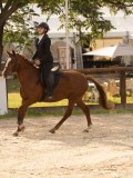 DSC03440 DSC03440