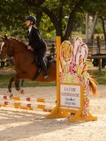 DSC03442 DSC03442