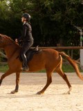 DSC03443 DSC03443