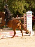 DSC03444 DSC03444