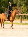 DSC03448 DSC03448